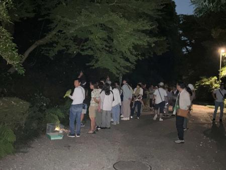白鳥路ホタル観賞の夕べを開催しました