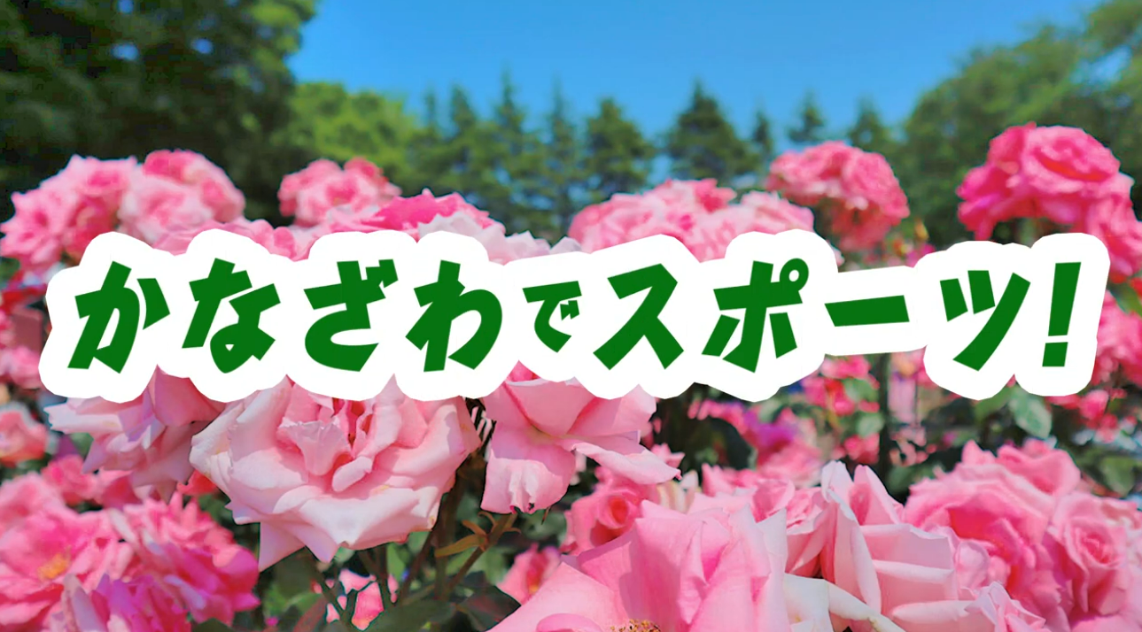 かなざわでスポーツ!金沢南総合運動公園バラ園