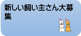 新しい飼い主さん大募集