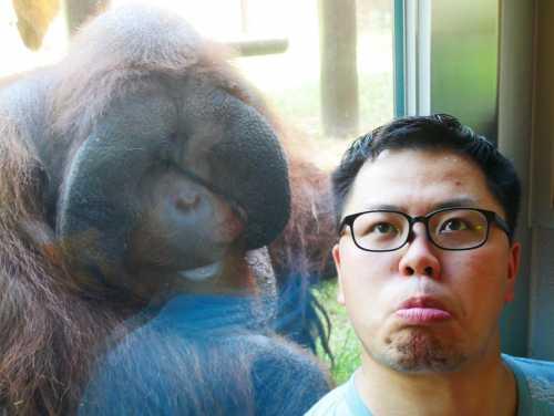 メガネをかけた男性と手で目を隠したオラウータンが並んでいる写真