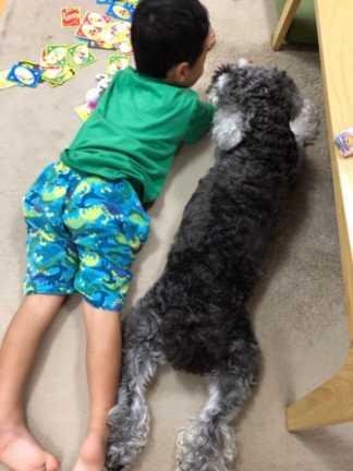 右側にうつぶせに寝転んでいる犬、左側にうつぶせに寝転んでいる少年の後ろ姿が写っている写真