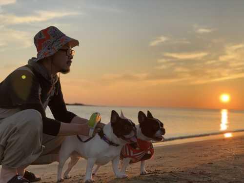 夕日が差し込む海辺に帽子を被った男性とブルドック2匹が写っている社員