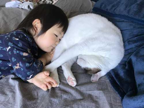 子供が丸まって寝ている猫のおしりを枕の様にして頭を乗せて寝ている写真