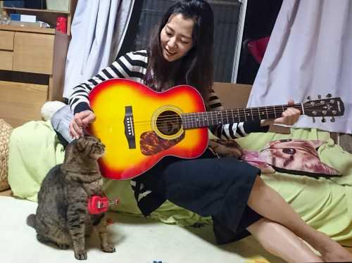 女性がギターを弾きながら前に座っている猫の頭をなでている写真