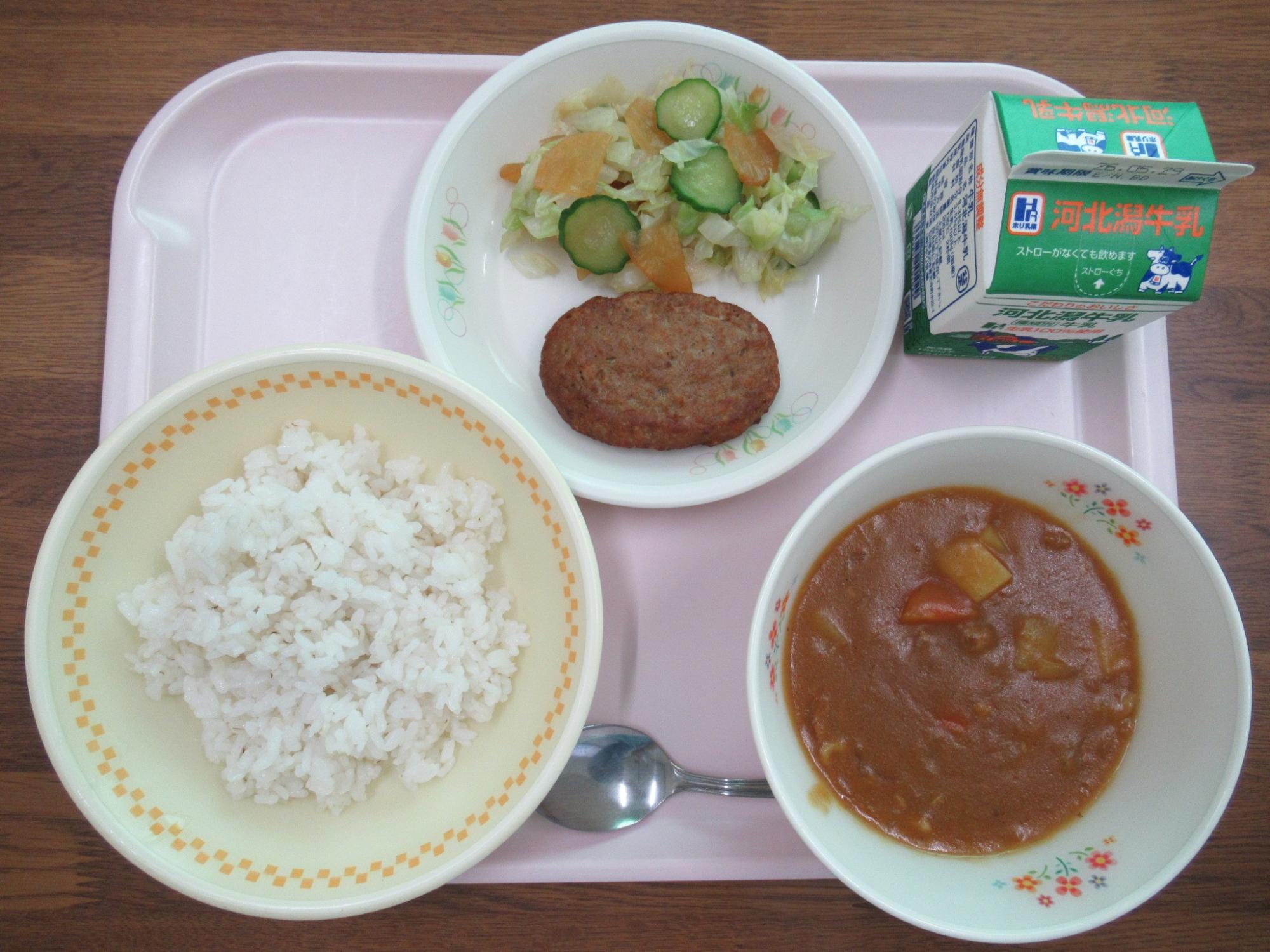 R0805syo_curry