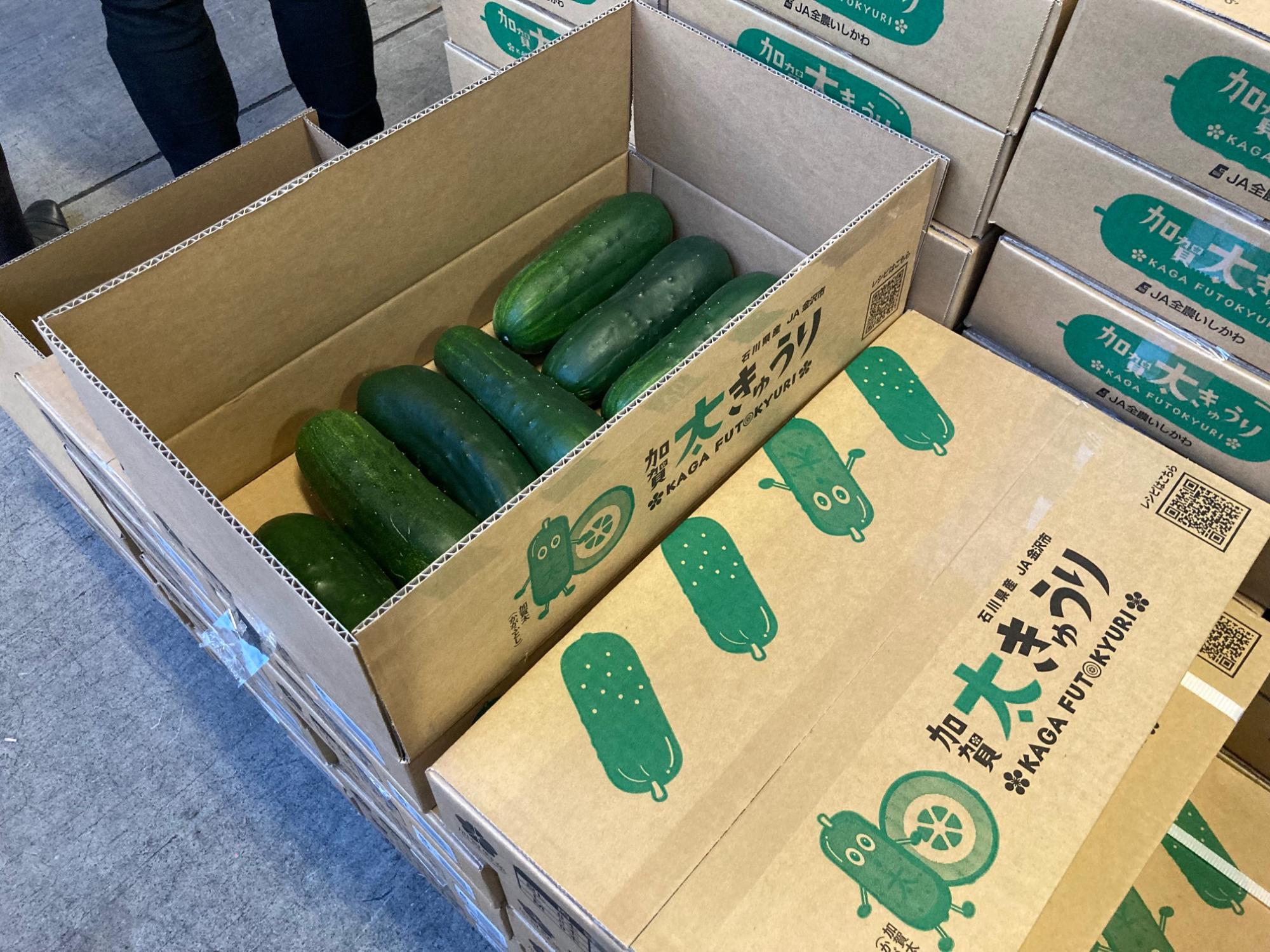 中央卸売市場「加賀野菜・加賀太きゅうり」の初せりの様子2