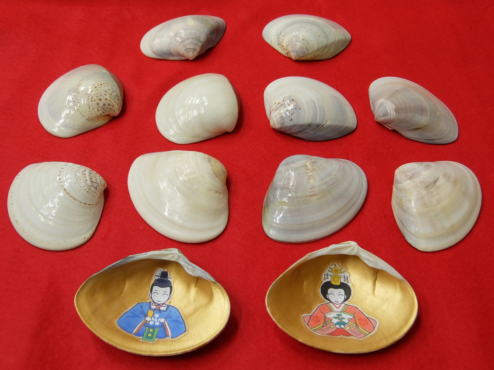 （イメージ）貝合わせで遊んでみよう