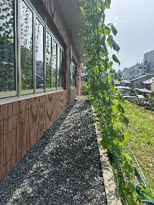 グリーンカーテンで作る日陰