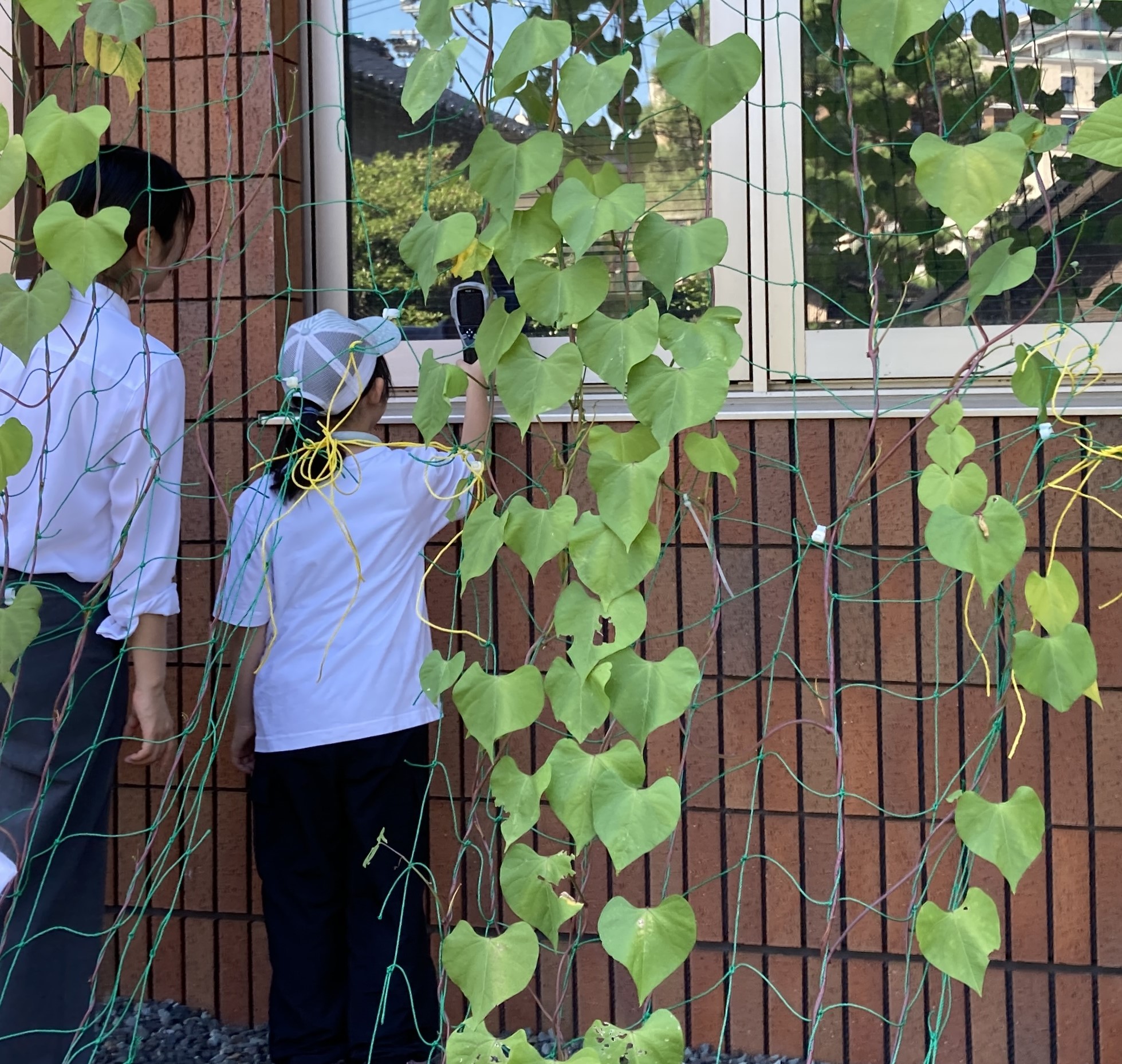 温度測定の様子