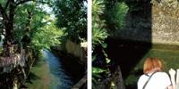 左：樹木の間を流れる用水路の写真、右：用水路を眺めている人物の写真