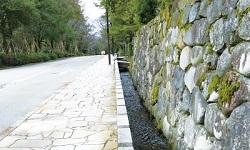 右側に石で作られた塀、左側にアスファルトの道路、中央に辰巳用水が写っている写真