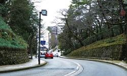 木で両側を囲まれたアスファルトの道路の坂道に赤や白の車が通っている写真