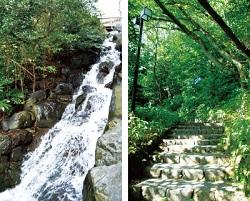 左に石の間を上から下に水が流れている小川、右には石で作られた階段が写っている写真