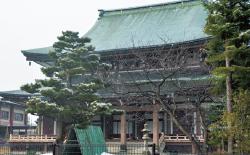 手前には松の木、奥には緑の大きな屋根が特徴のお寺の本堂の建物外観の写真
