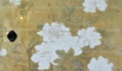 襖に描かれた白い牡丹の花が大きく写っている写真