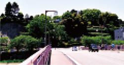 広く大きな橋の向こうに、木々に囲まれた緑の多い桜橋の向こう側の新竪町の写真