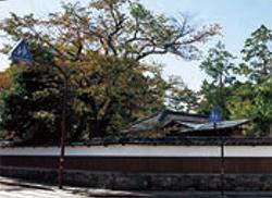 外壁の中には瓦屋根の建物と松の木が多く植えてある日本家屋の写真