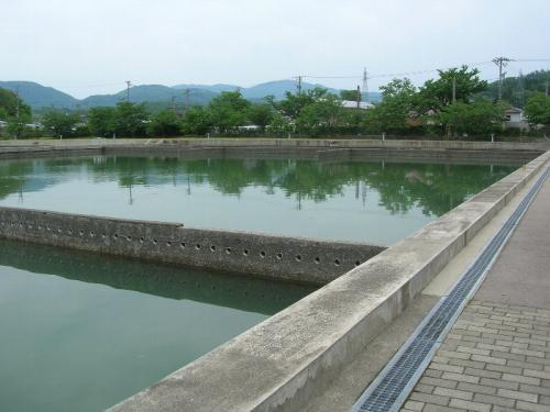 大きな2つのコンクリート造の水槽に緑の水がたまっている末浄水場一号緩速沈澱池の写真
