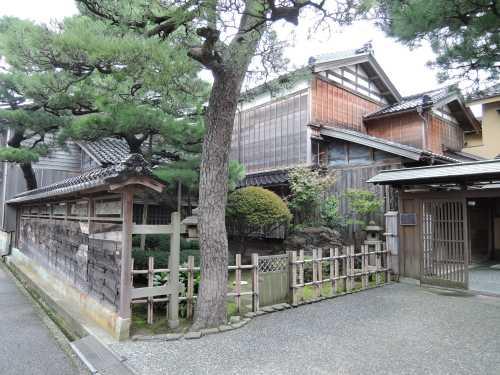 通路沿いに板張りの壁に松の木が立ち、屋根は小屋組、妻壁上部は漆喰仕上げで施された観田家住宅の写真