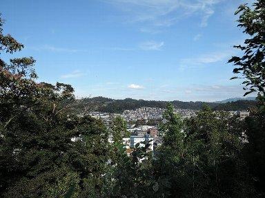 樹木の生い茂った中から遠くに街並みや山々が見えている写真