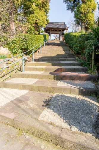参道の階段を上った先にある本光寺山門の写真
