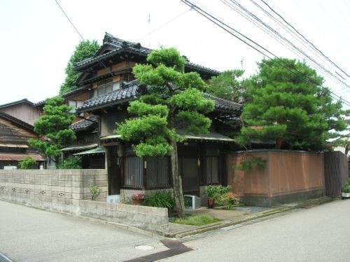 手前に松の木が立ち、奥には瓦屋根のついた日本住宅が建っている藤本家住宅主屋の外観写真