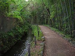 林の間に用水路が流れ、右側に奥まで続く遊歩道がある写真