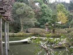 沢山の木々が囲まれた池のある尾山神社庭園の写真