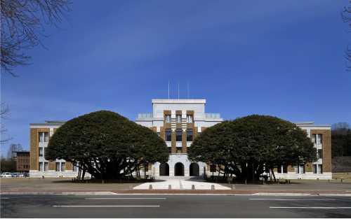 手前には丸い大きな木が2本立っていて、奥に白い洋風の建物が建っている旧石川県庁舎本館の外観写真