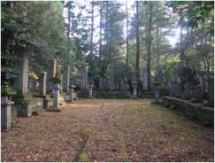 木に囲まれた山の中にいくつかのお墓が並んでいる写真