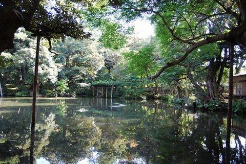 水面に周辺の樹林が映っている松風閣庭園の写真