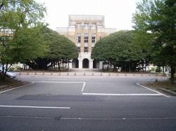 旧石川県庁正面玄関の左右にある、巨木のシイノキの写真