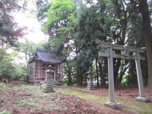 鳥居の先に小さな社殿があり、社殿や神社境内を囲うように密生している林の写真