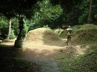 草木や石碑の奥に数か所地面が盛り上がっている加賀八家墓所の写真