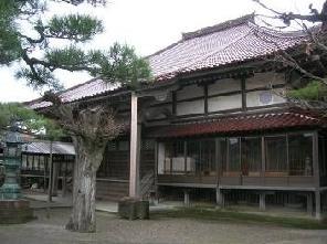 桟瓦葺で木造平屋の専長寺本堂の前に大きな松の木が植えられている写真