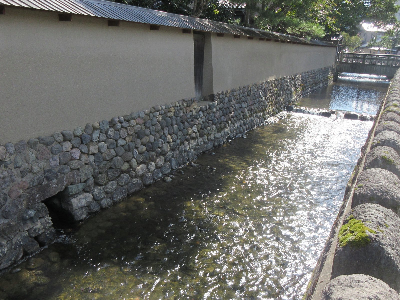 庭園内に池や松の木などの庭木が植えられ、至る所にピンク色のツツジなどが咲いている千田家庭園の写真