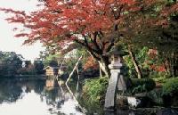 紅葉した木々の前にある2本脚の灯籠(ことじ灯籠)の片脚が池の中、もう片方が庭園の石の上にのっている兼六園内の写真