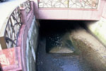 短い橋の下を流れる用水路の写真
