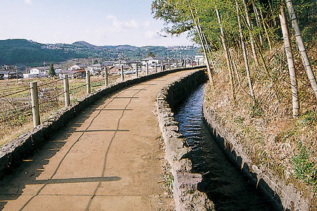 右に向かって続く緩やかなカーブの遊歩道と、竹山の間にある細い用水路の写真