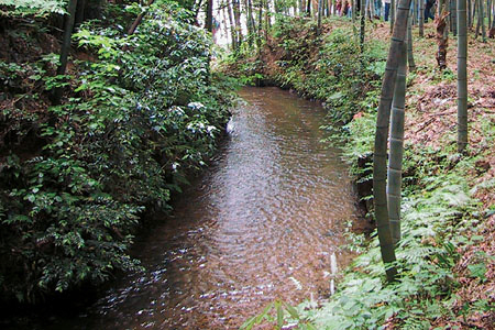 左側は草が鬱蒼と茂り、右側には竹山がある中央に左に緩やかなカーブを描いている用水路の写真