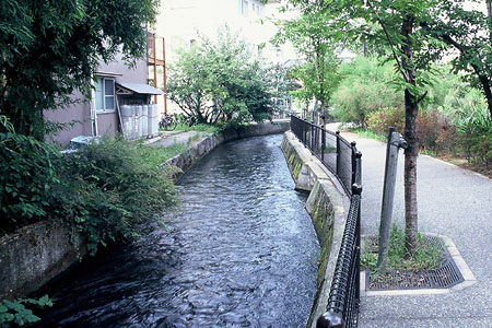 左側の民家の裏手と右側の遊歩道の間を流れている用水路の写真