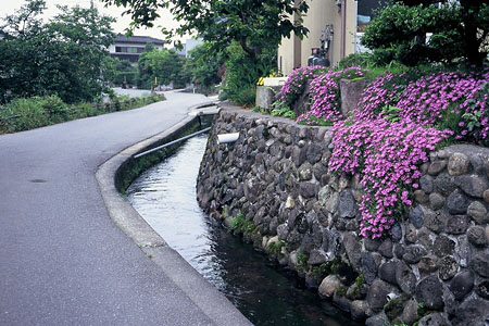 右に向かって大きくカーブしている細い道路と、石塀に芝桜が咲いている敷地との間に流れる細い用水路の写真