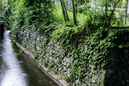 細い川の右側に、草や木々が生えている石塀の写真