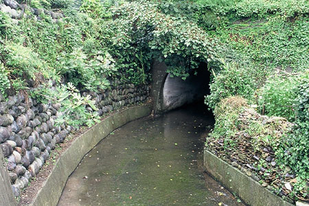 左側に高さのある石垣、中央から奥の草に覆われたアーチ型のトンネルを通る用水路の写真