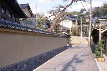 細い通りの左側に昔ながらの土塀や門に囲まれた住宅の敷地内に大きな一本の松の木が塀を越えて伸びている写真
