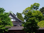 寺院本堂の三角屋根と周囲に生えてる樹木の写真