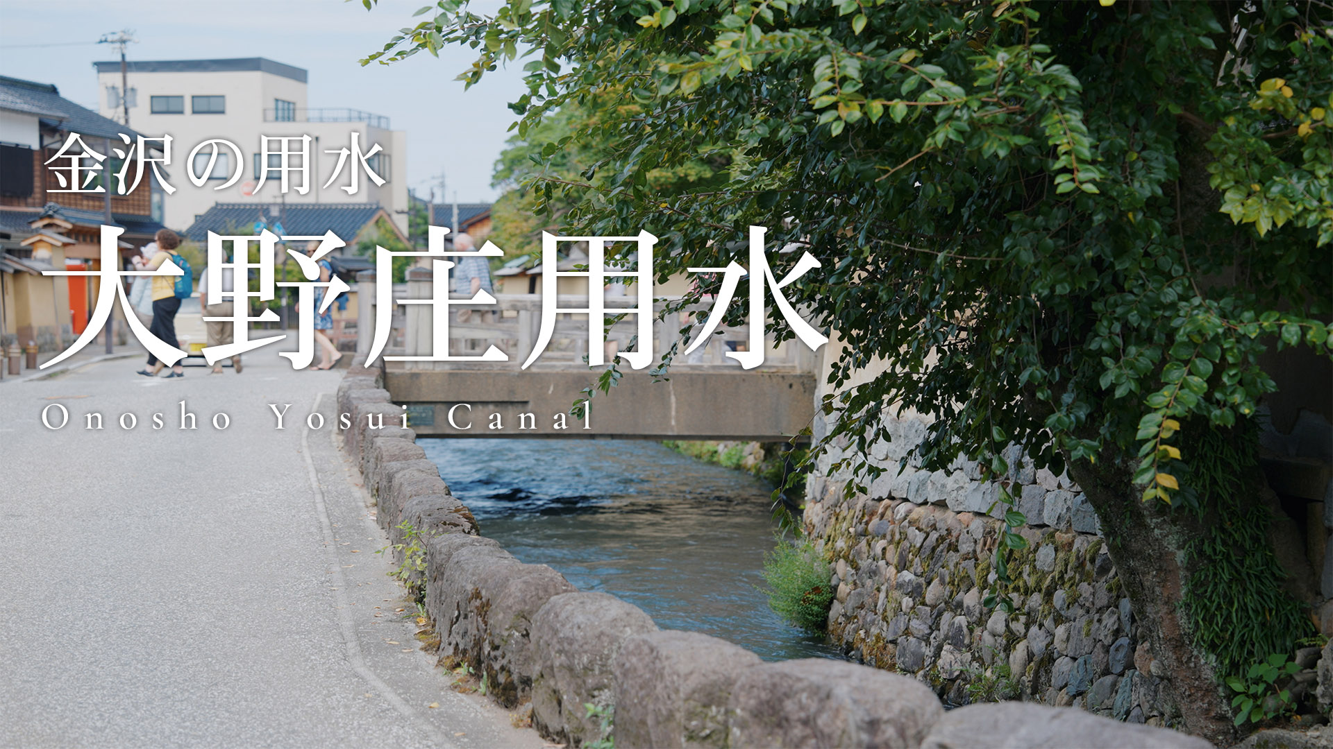 大野庄用水動画2