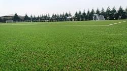 遠くにあるサッカー場のゴールと人工芝を写した写真