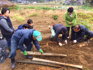 指導者の方が添え木を使い畑からじねんじょを掘り出している様子を参加者が見ている写真