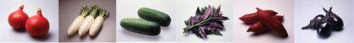 6種類の加賀野菜の写真